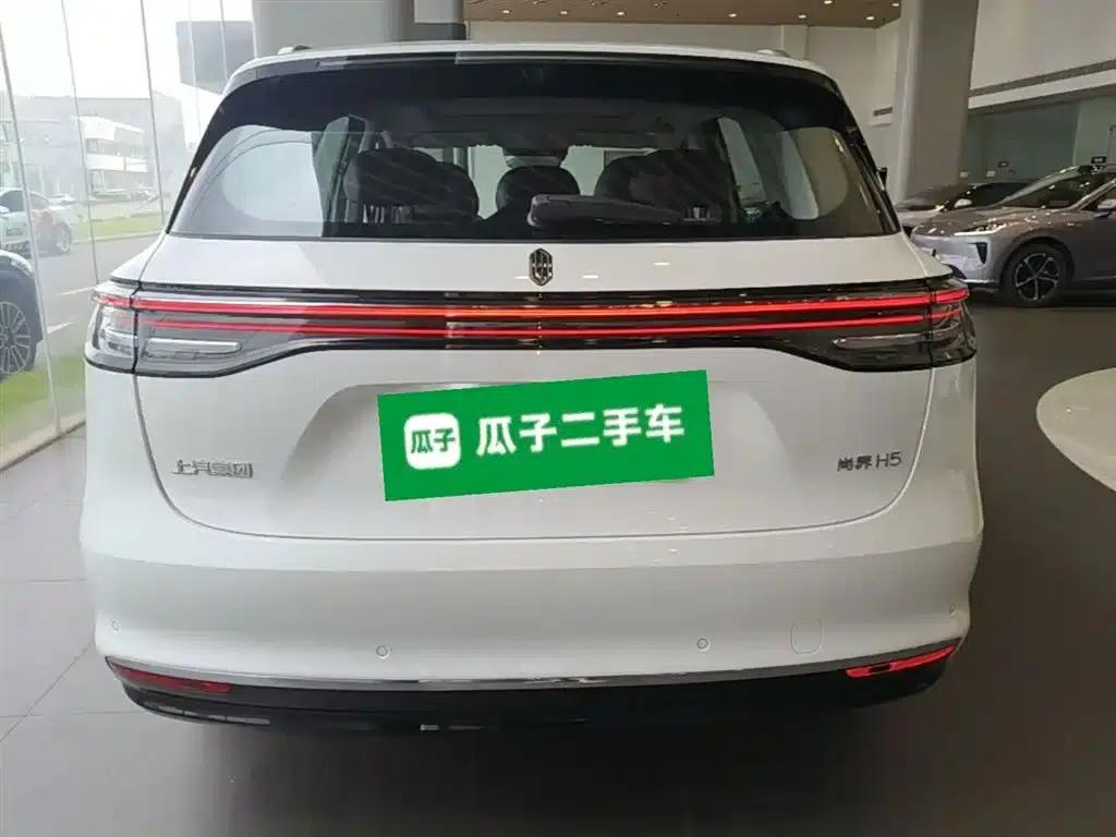 Shangjie H5 2025 Pure Electric Max Long Range — миниатюра 6