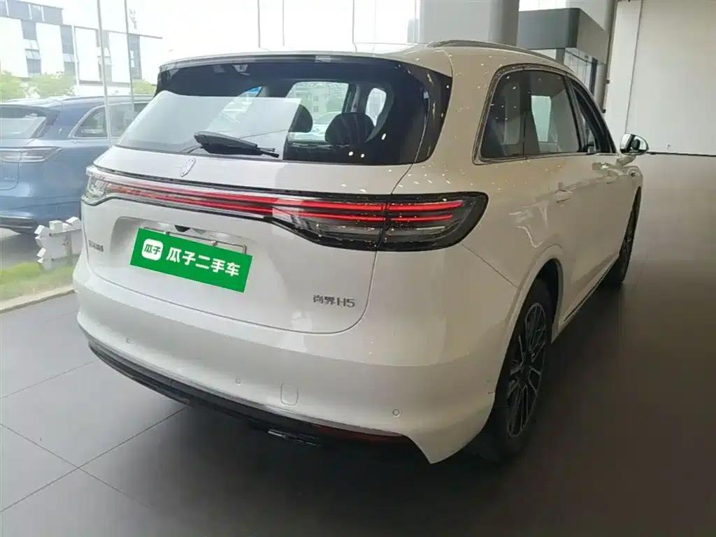 Shangjie H5 2025 Pure Electric Max Long Range — миниатюра 7