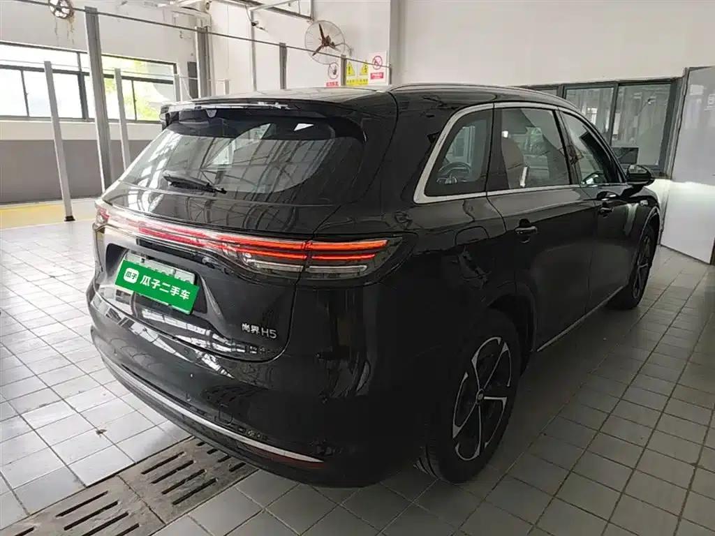 2025 Shangjie H5 Extended Range Max — миниатюра 7