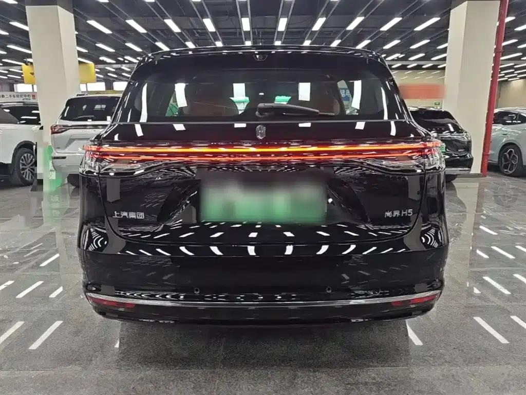 2025 Shangjie H5 Extended Range Max — миниатюра 6