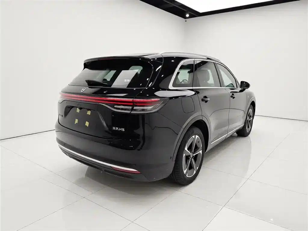 2025 Shangjie H5 Extended Range Max — миниатюра 7