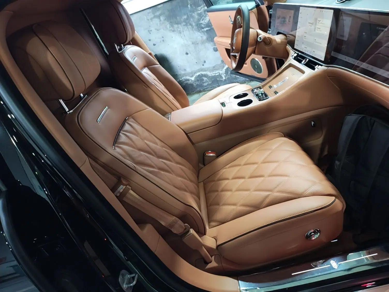 Hima S800 2025 Model, Range-Extended Starlight Executive Edition, 4 Seats — миниатюра 24