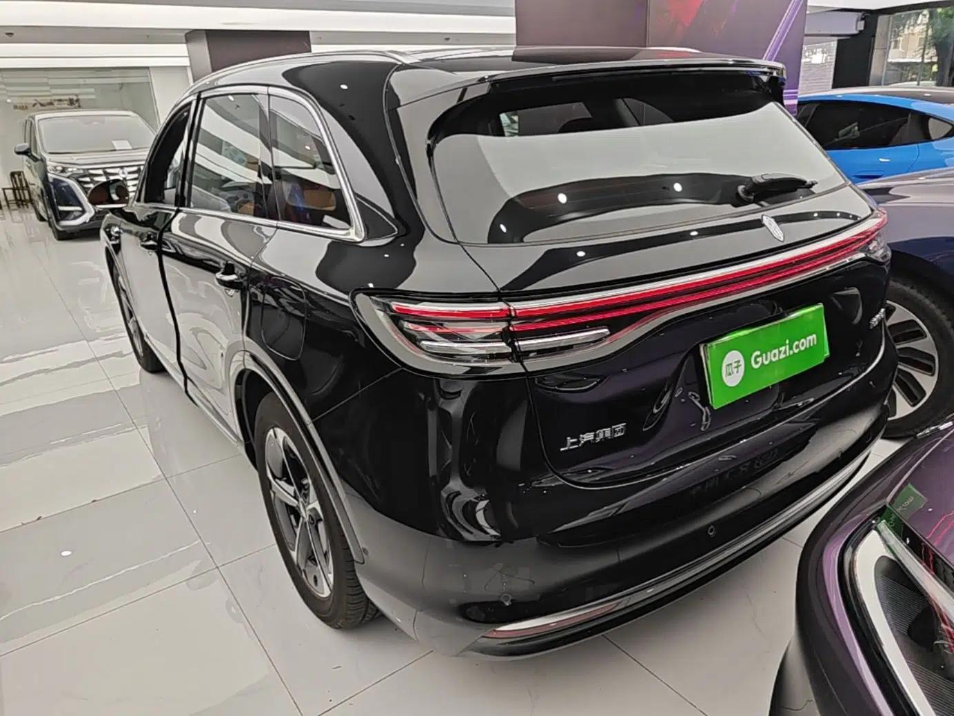 Hima H5 2025 Model Pure Electric Pro — миниатюра 4