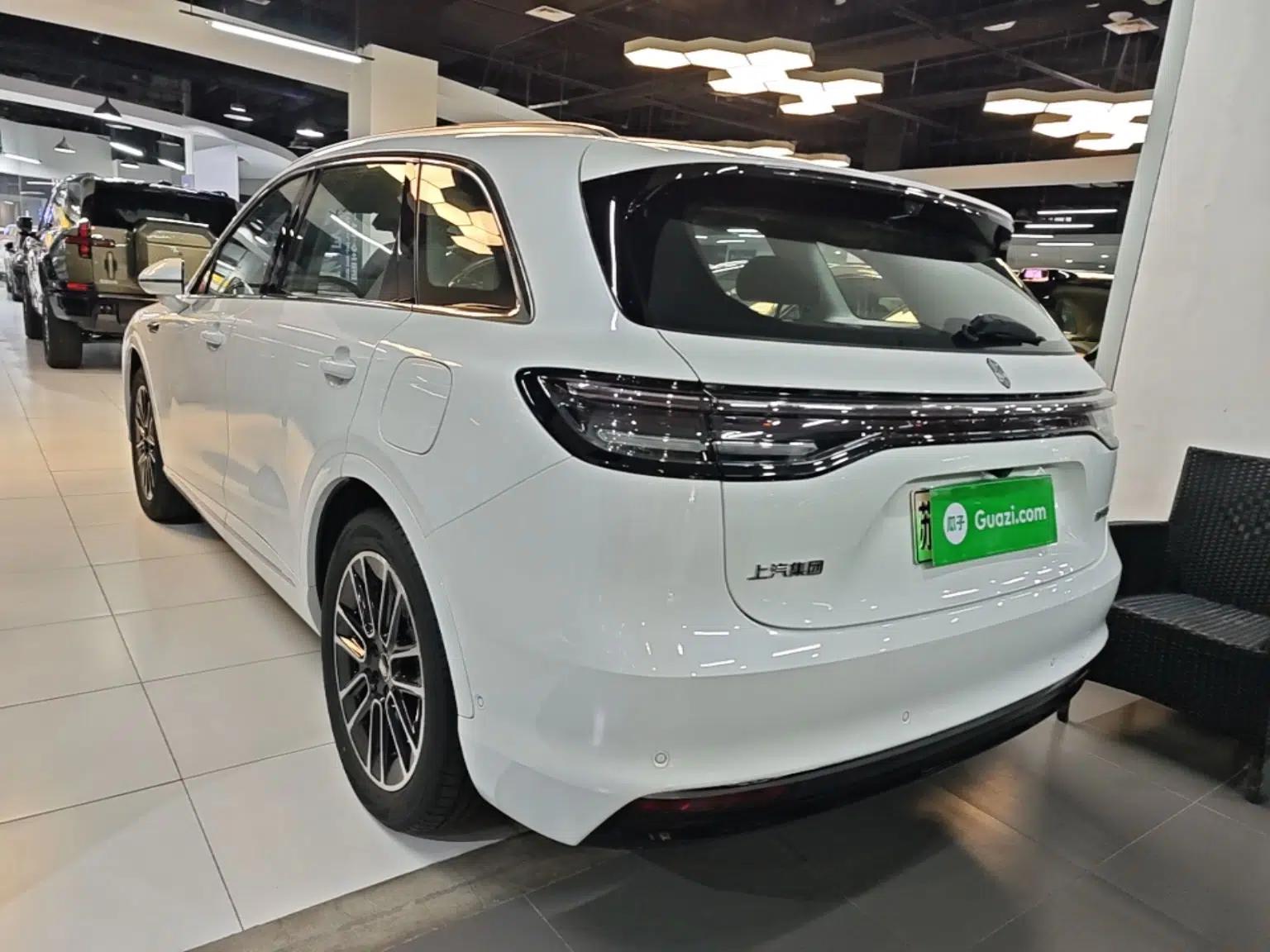 Hima H5 2025 Model Pure Electric Max Long Range — миниатюра 4