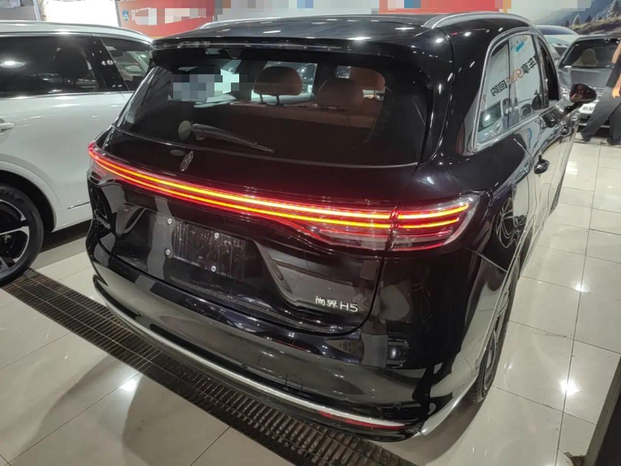Hima H5 2025 Model Range-Extending Max — миниатюра 6