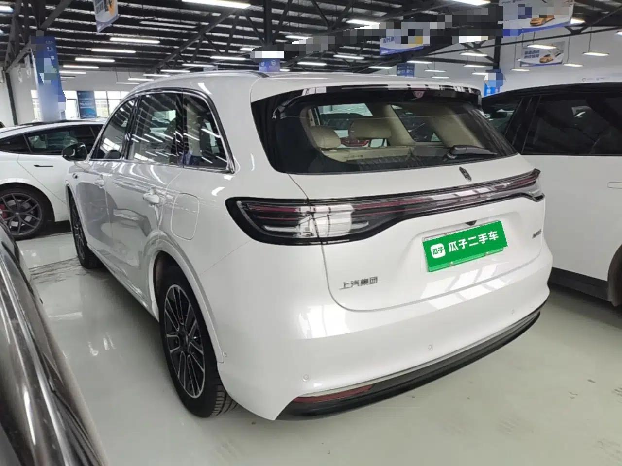 Hima H5 2025 Model Pure Electric Max Long Range — миниатюра 13