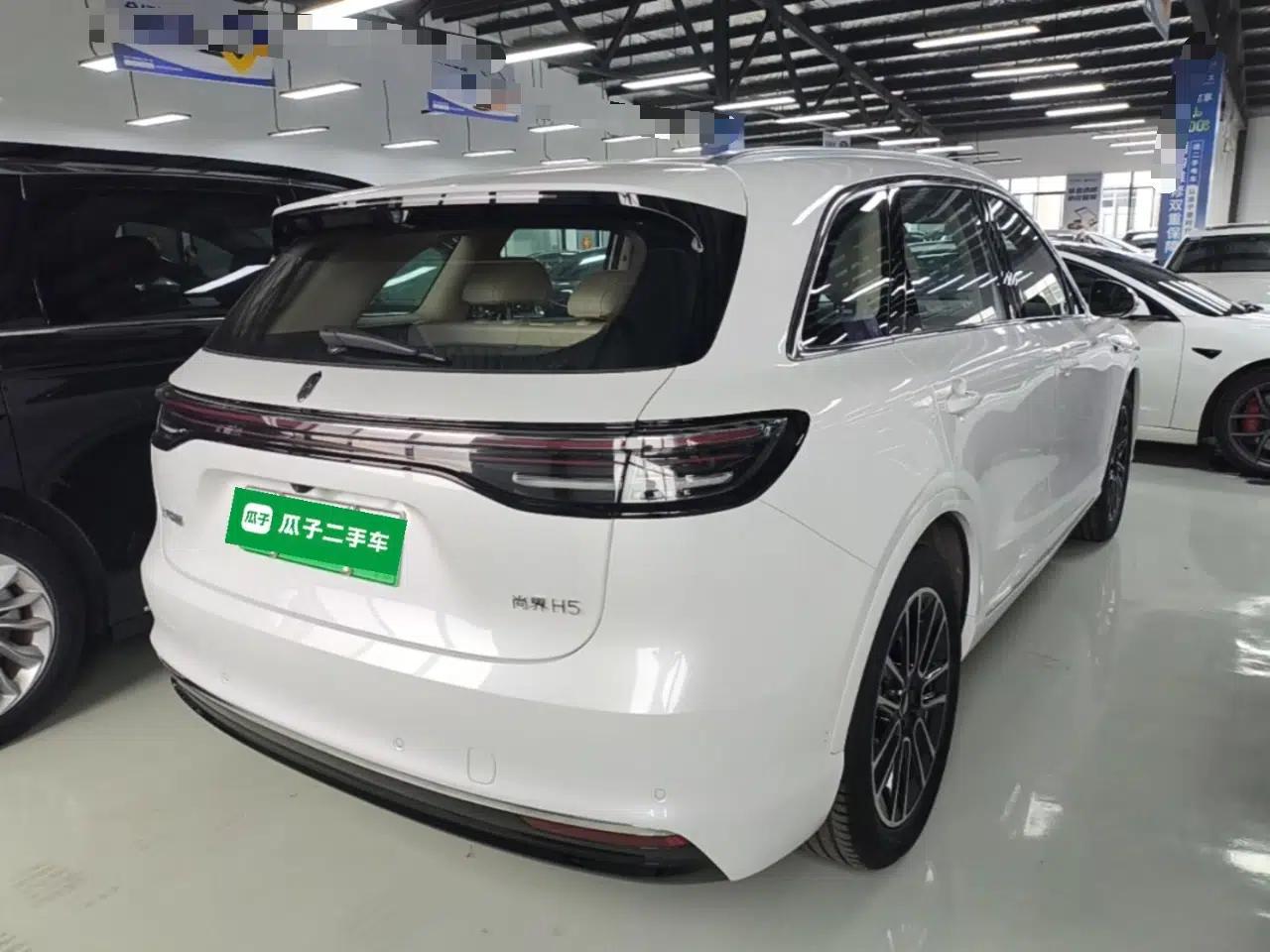 Hima H5 2025 Model Pure Electric Max Long Range — миниатюра 6