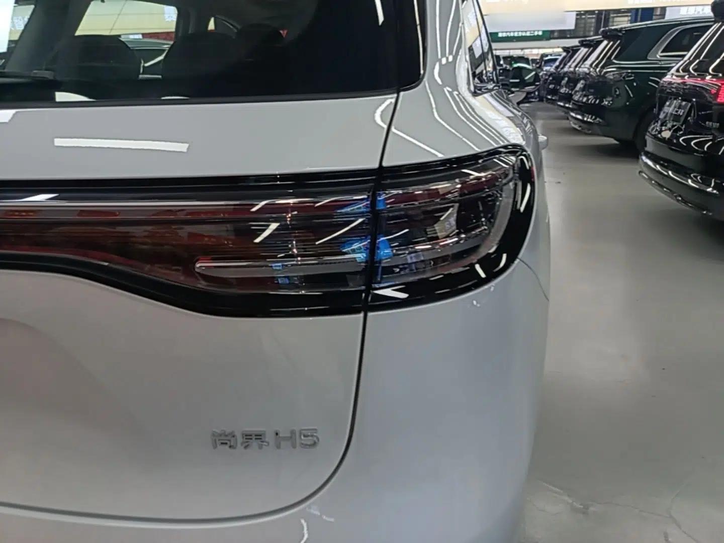 Hima H5 2025 Model Range-Extending Max — миниатюра 9