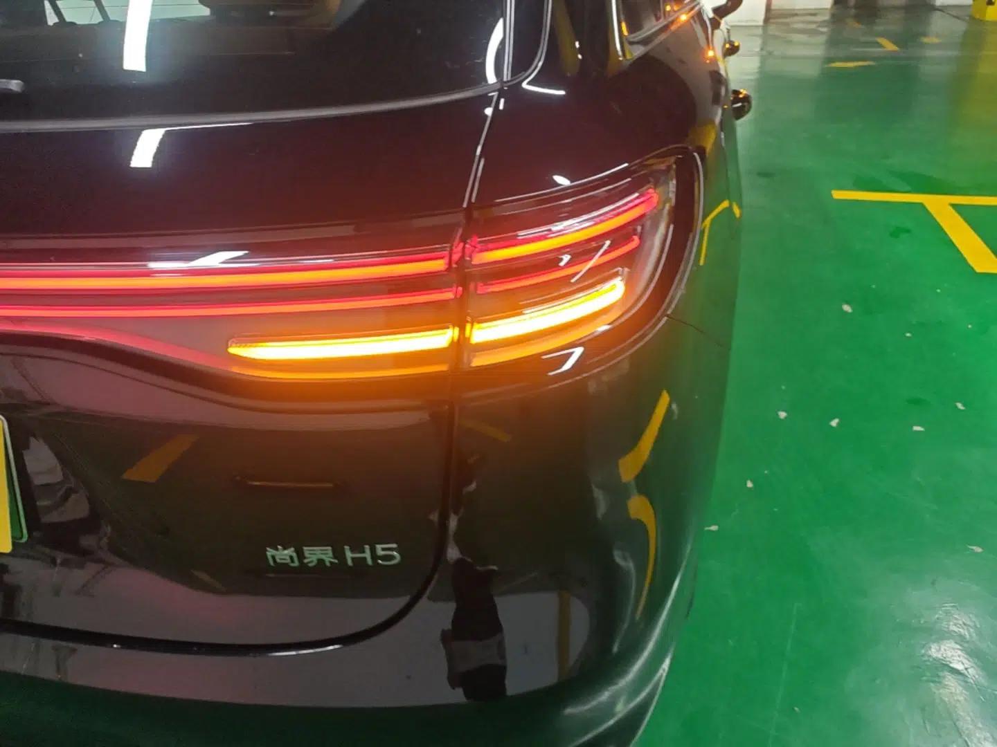 Hima H5 2025 Model Range-Extending Max — миниатюра 9