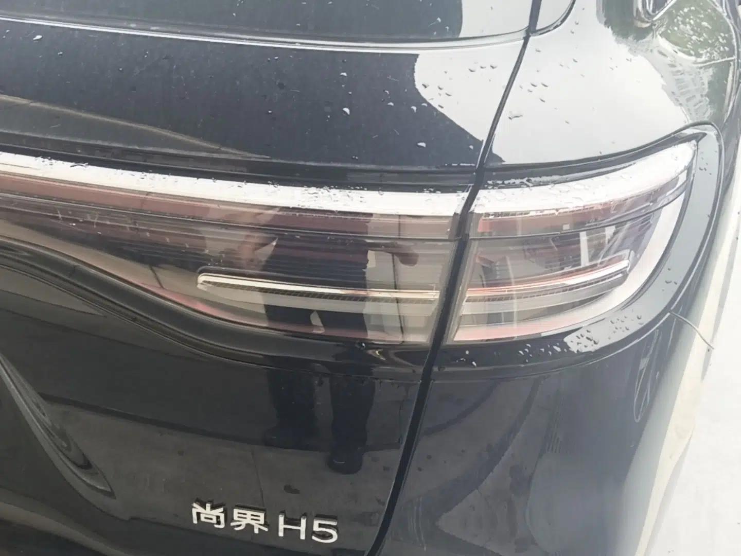 Hima H5 2025 Model Pure Electric Max Long Range — миниатюра 9