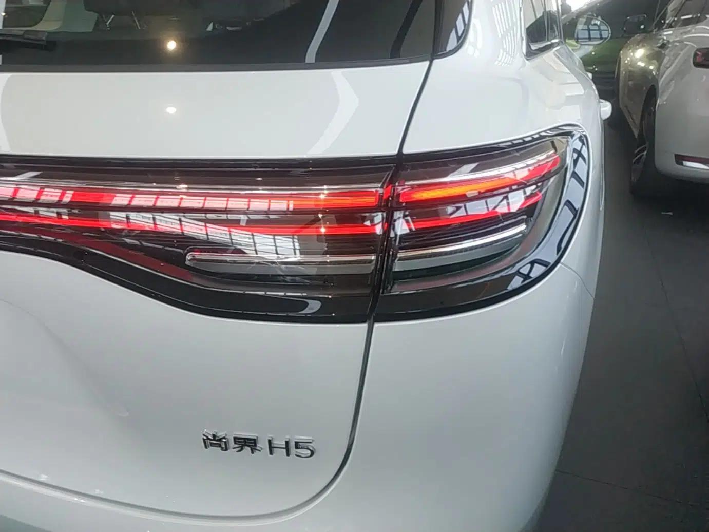 Hima H5 2025 Model Range-Extending Max — миниатюра 14
