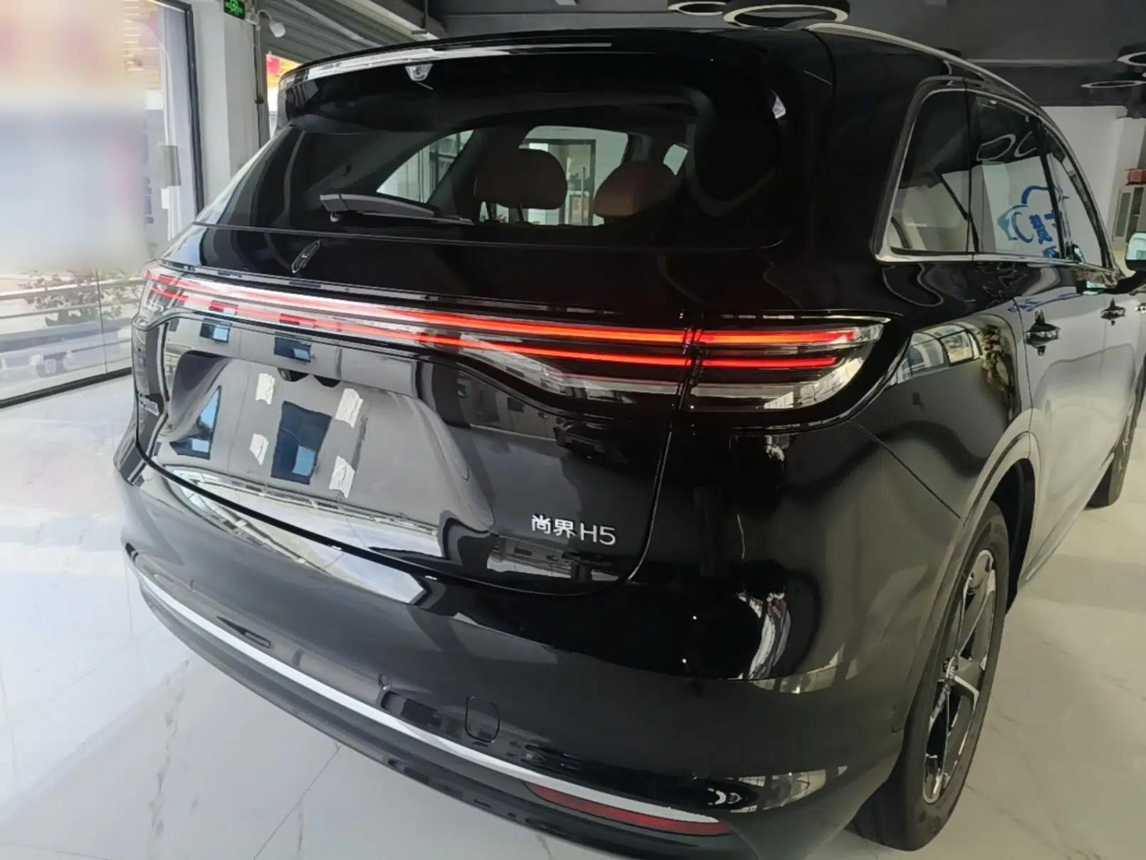 Hima H5 2026 Model Pure Electric Max+ — миниатюра 6