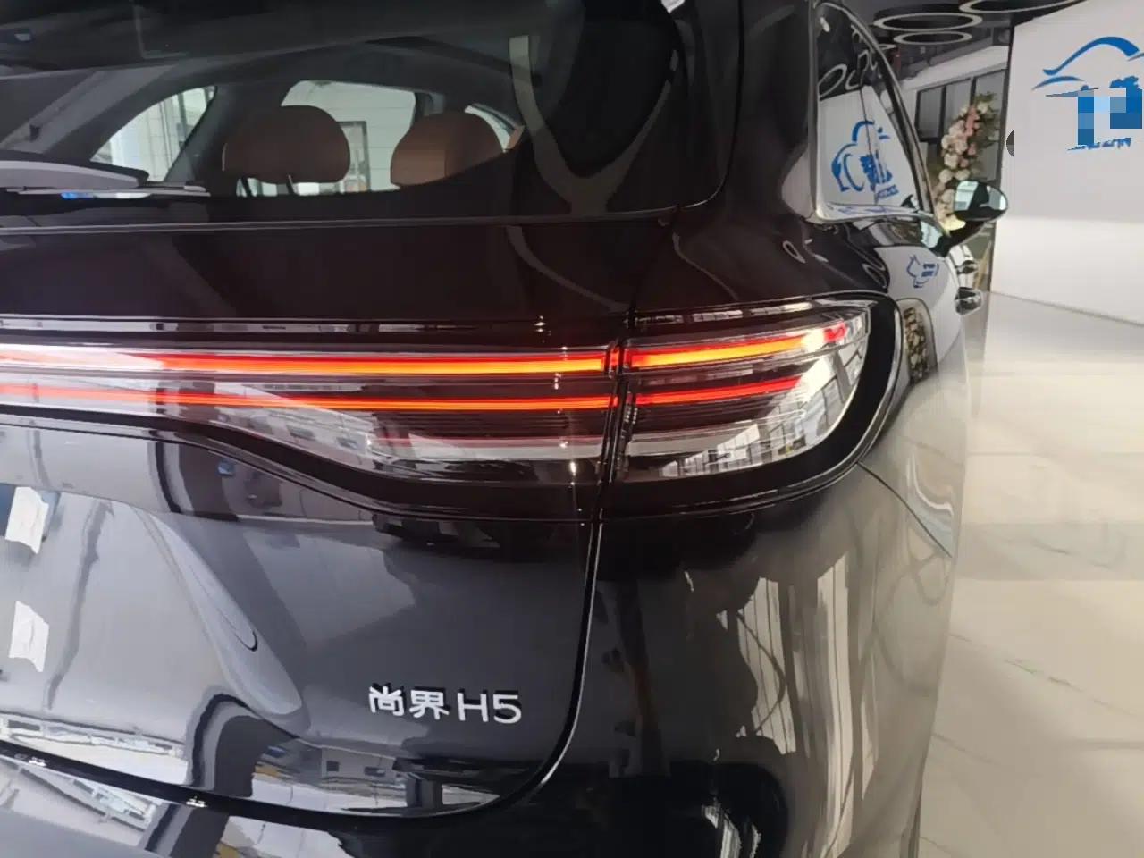 Hima H5 2026 Model Pure Electric Max+ — миниатюра 9