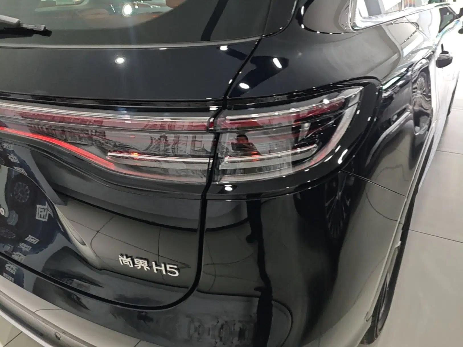 Hima H5 2025 Model Range-Extending Max — миниатюра 14