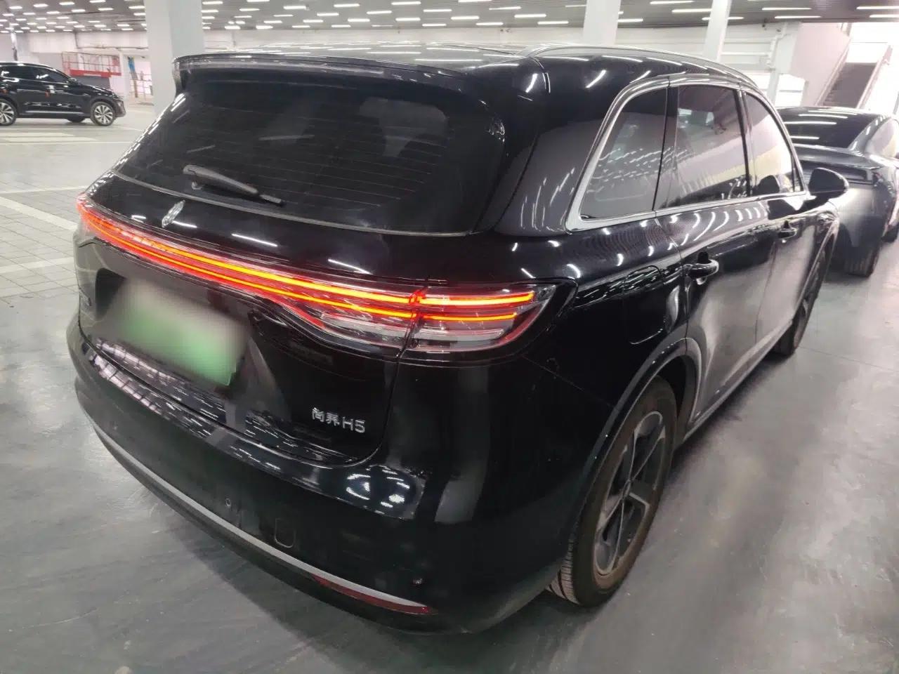 Hima H5 2025 Model Range-Extending Pro — миниатюра 4