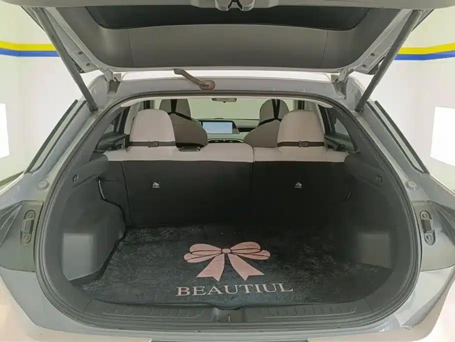 Venucia V DD-i 2023 Model 110km iE Edition — миниатюра 4