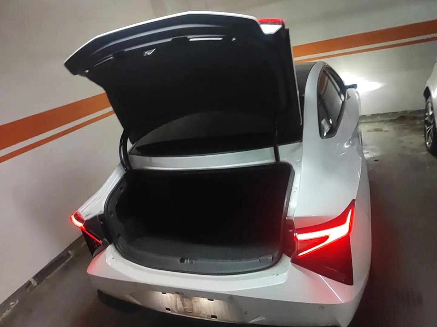 Lingxi L 2025 Model—Player No. 1 Plus Super Double-Up Optional Package — миниатюра 22