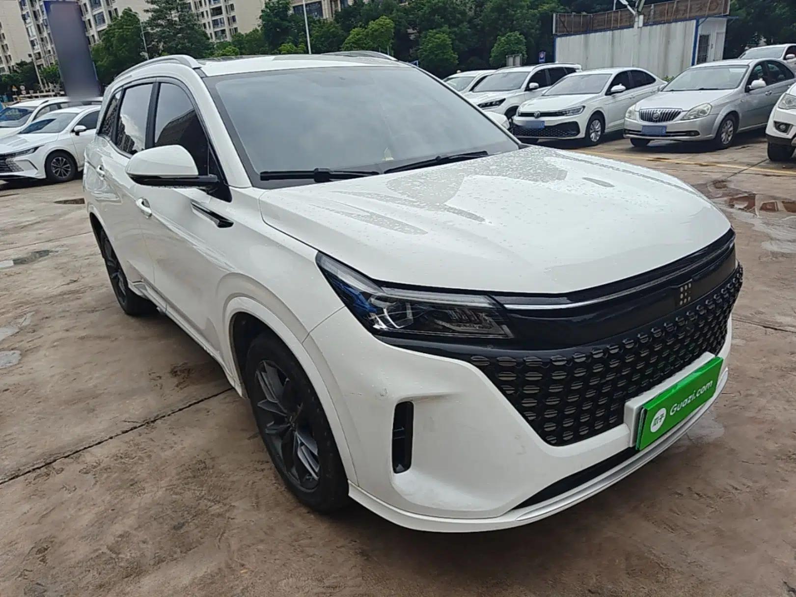 Landian E5 2024 Honor Edition 100KM Deluxe 7-Seater — миниатюра 3
