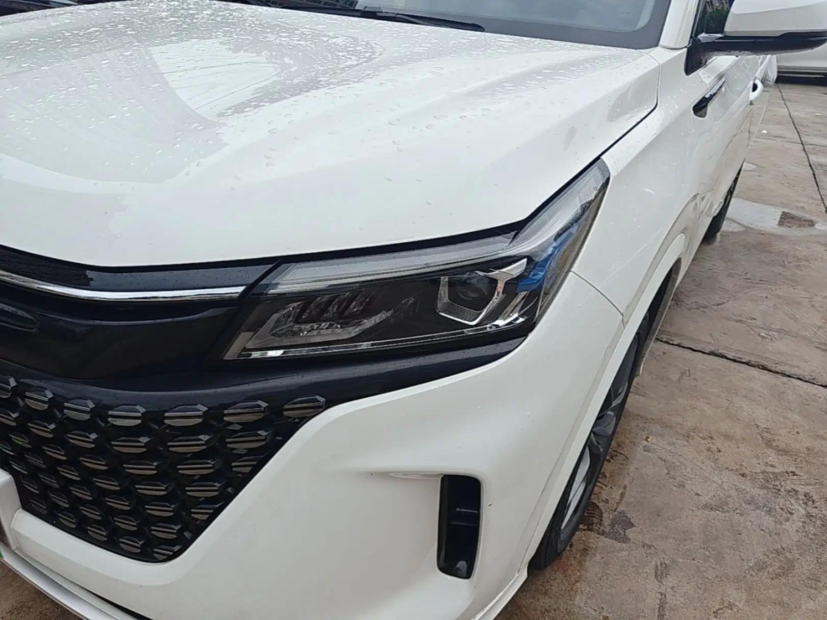 Landian E5 2024 Honor Edition 100KM Deluxe 7-Seater — миниатюра 8