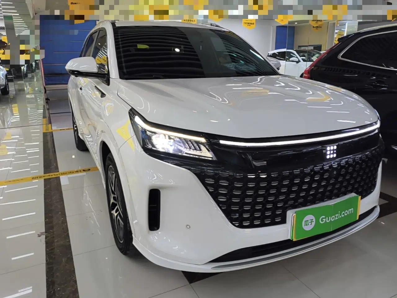 Landian E5 2024 Honor Edition 100KM Premium Model 7 Seats — миниатюра 3