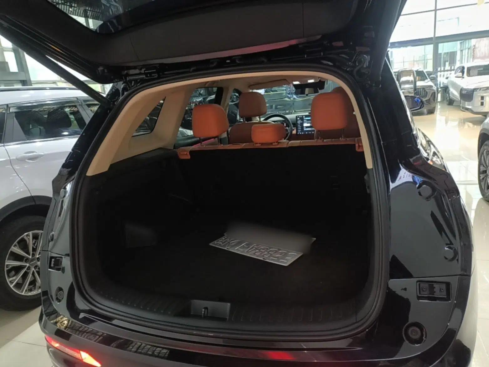 Landian E5 PLUS 2026 Model 165km Long-Range First-Adoption Version Ultra 5-seater — миниатюра 22