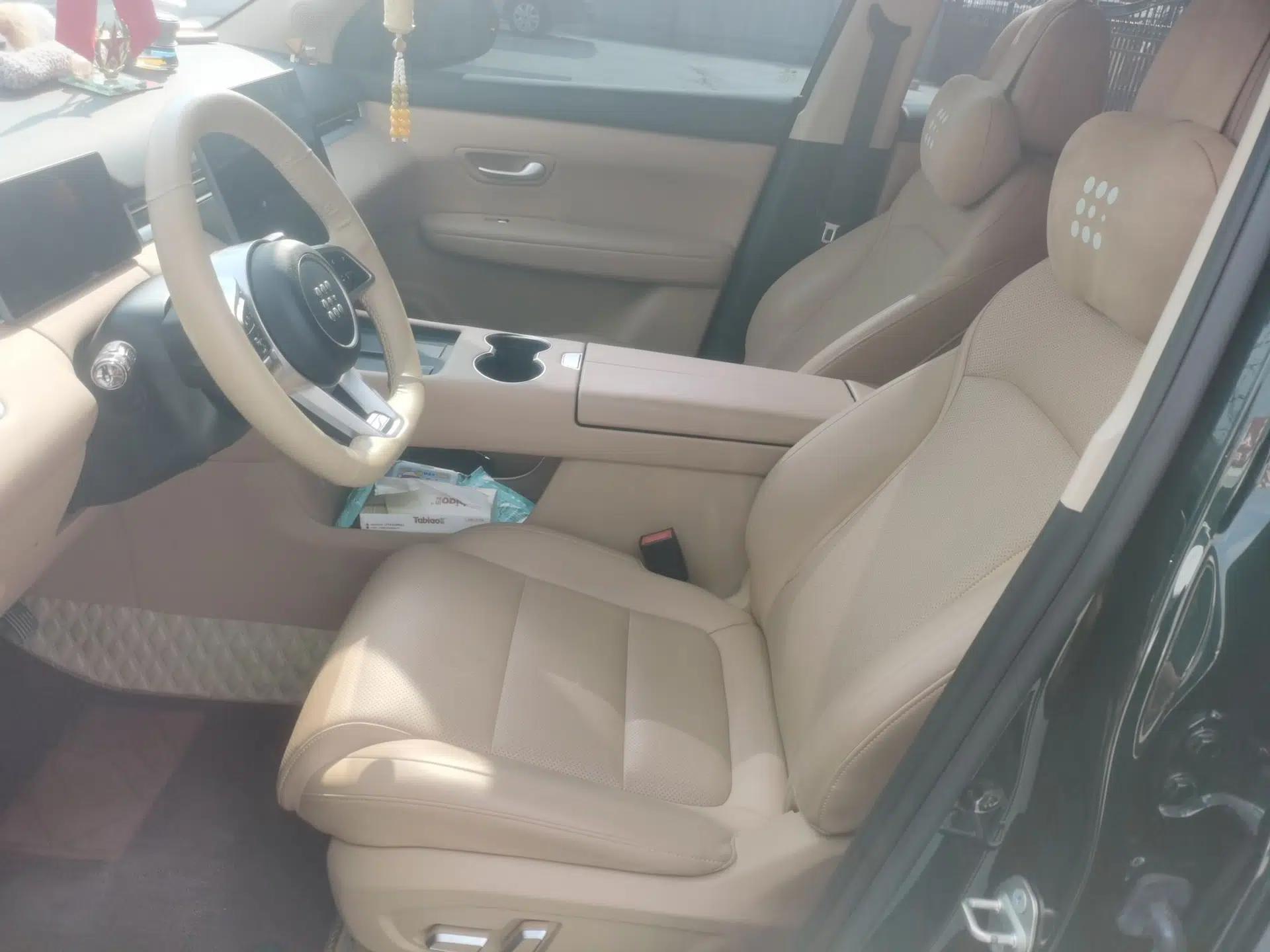 Landian E5 PLUS 2025 165 km Long-Range Pro Version with 5 Seats — миниатюра 17