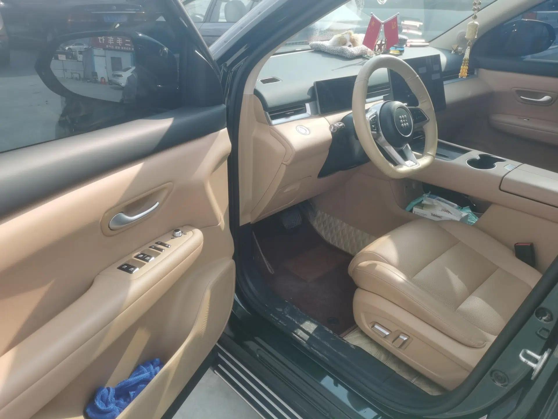 Landian E5 PLUS 2025 165 km Long-Range Pro Version with 5 Seats — миниатюра 18