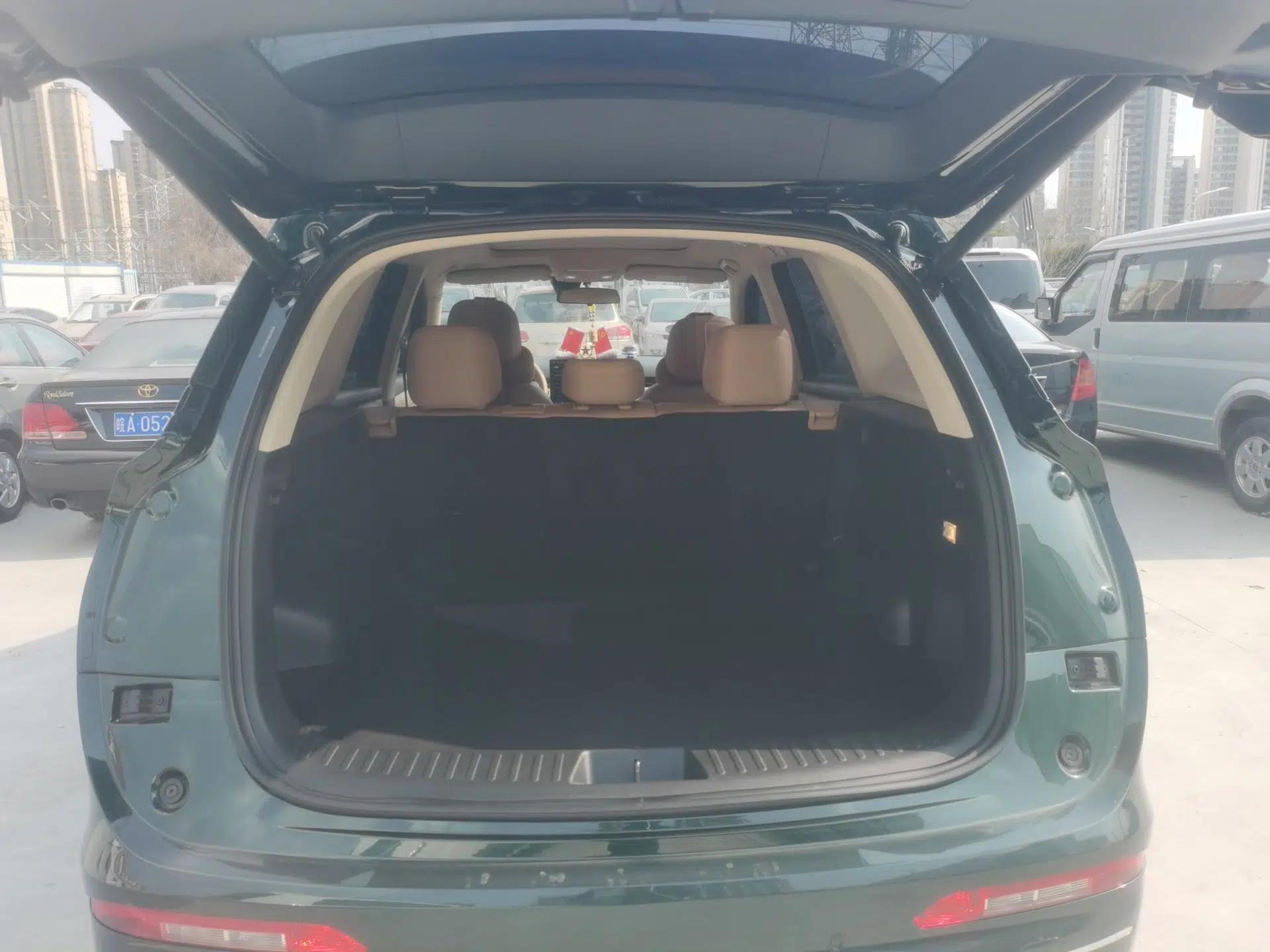 Landian E5 PLUS 2025 165 km Long-Range Pro Version with 5 Seats — миниатюра 22