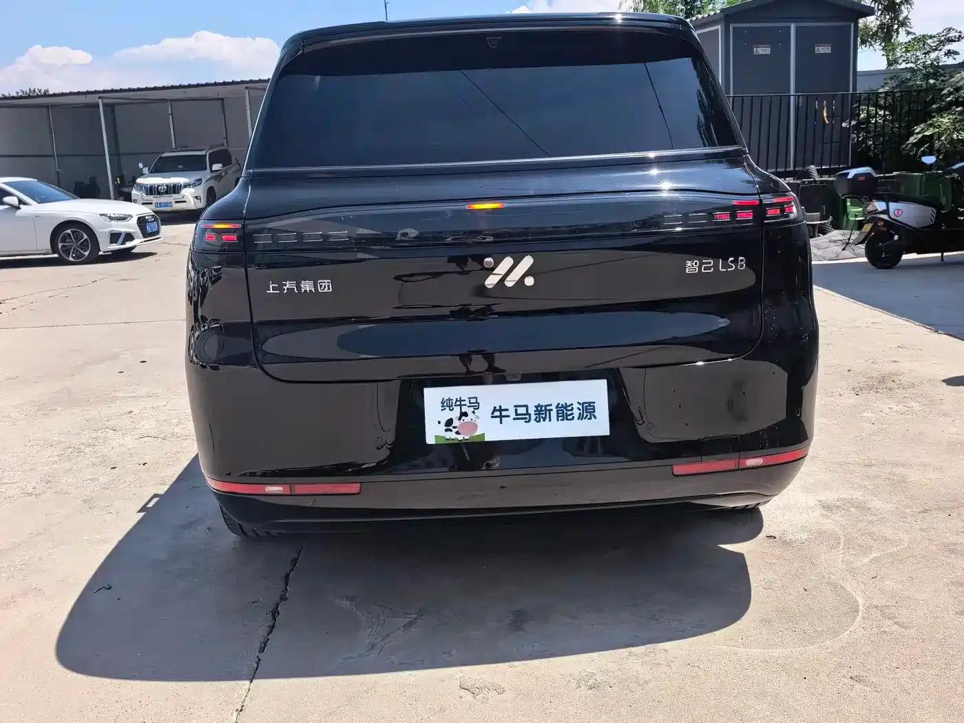Smart LS8 2026 Model 52 Max+ Luxury Six-Seater — миниатюра 5