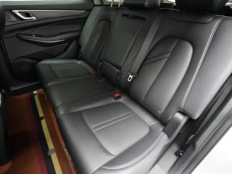 Blue Electric E5 2024 Glory Edition 100KM Enjoyment Model 7-Seater — миниатюра 12