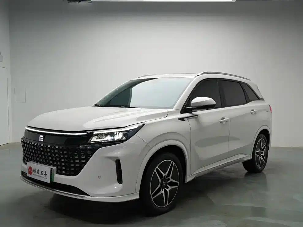 Blue Electric E5 2024 Glory Edition 100KM Premium 7-Seater — миниатюра 1