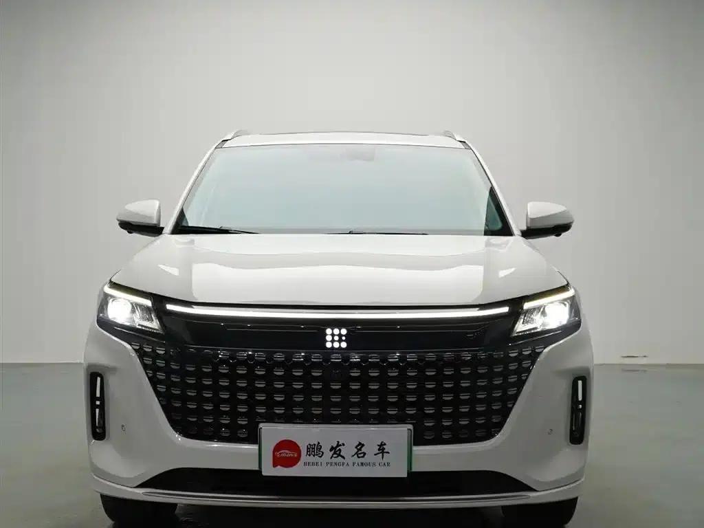 Blue Electric E5 2024 Glory Edition 100KM Premium 7-Seater — миниатюра 2