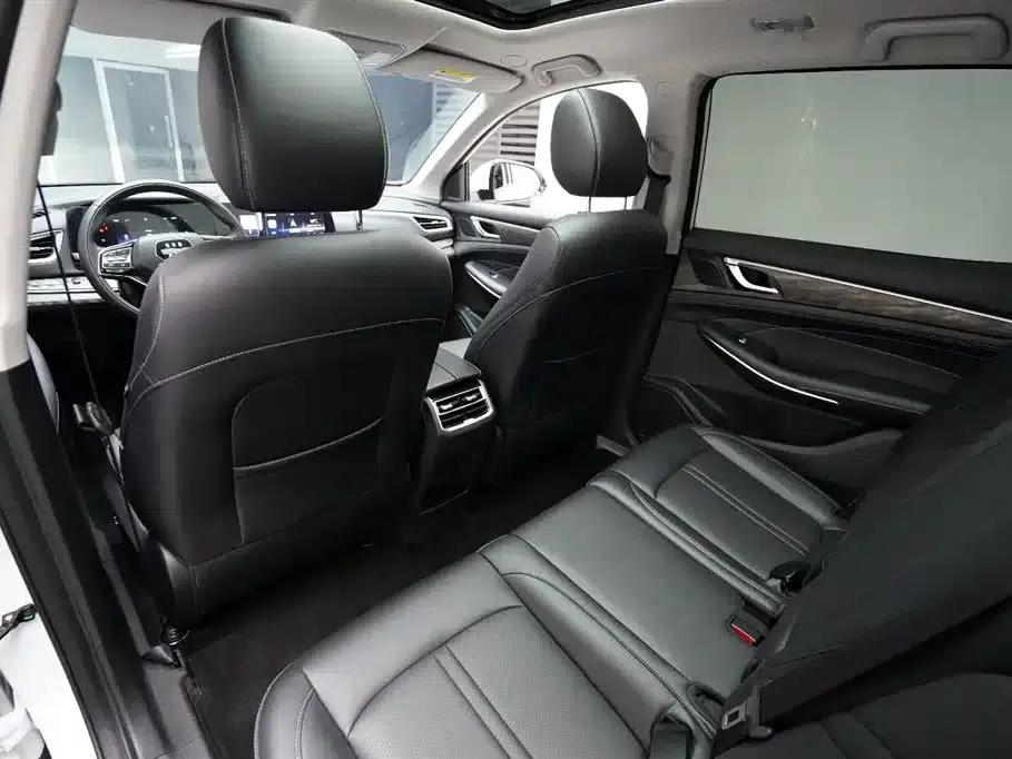 Blue Electric E5 2024 Glory Edition 100KM Premium 7-Seater — миниатюра 13