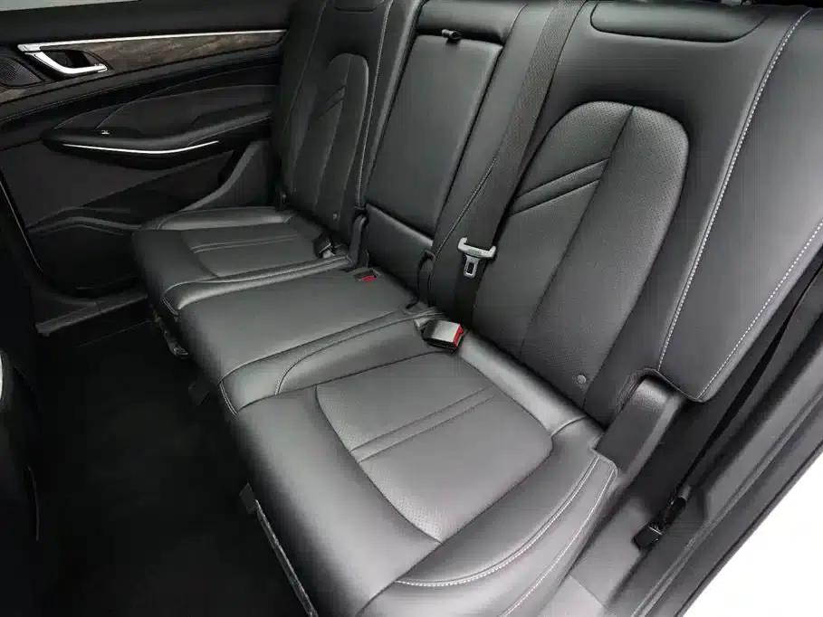 Blue Electric E5 2024 Glory Edition 100KM Premium 7-Seater — миниатюра 14