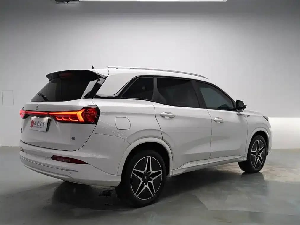 Blue Electric E5 2024 Glory Edition 100KM Premium 7-Seater — миниатюра 17