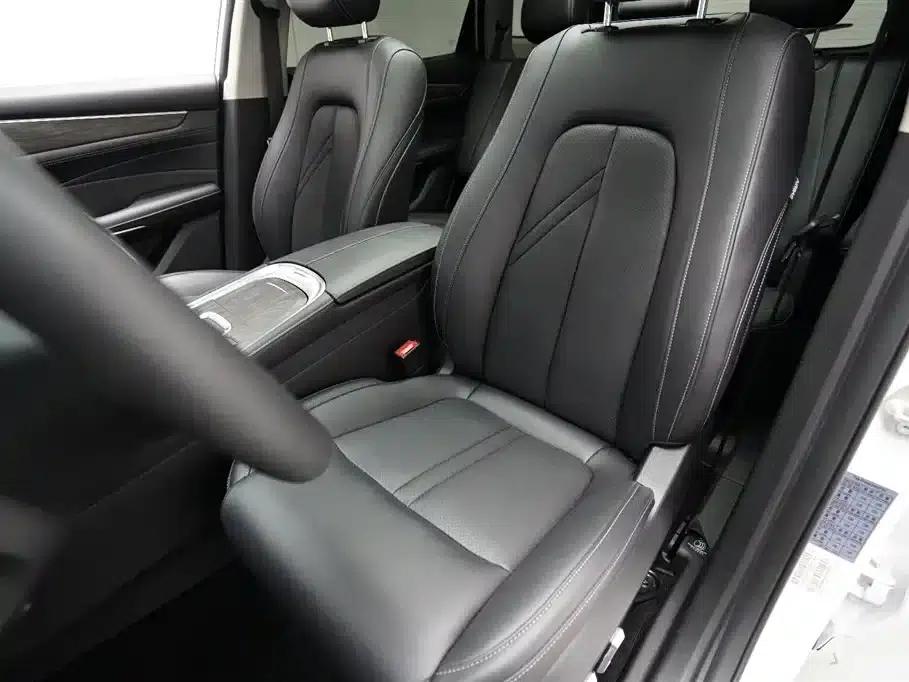 Blue Electric E5 2024 Glory Edition 100KM Premium 7-Seater — миниатюра 4