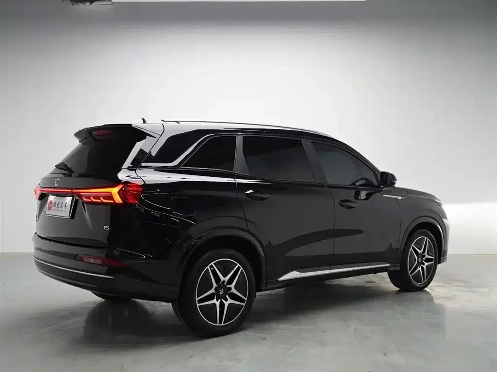 Blue Electric E5 2023 Model 1.5L DE-i 100KM Enjoyable Edition 5-Seater — миниатюра 19