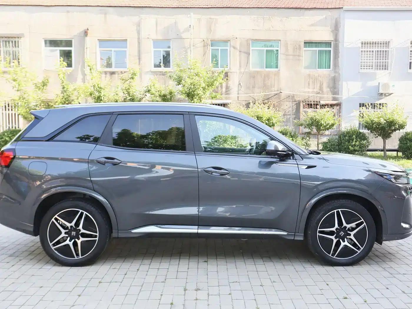 Blue Electric E5 2024 Glory Edition 100KM Premium 7-Seater — миниатюра 4