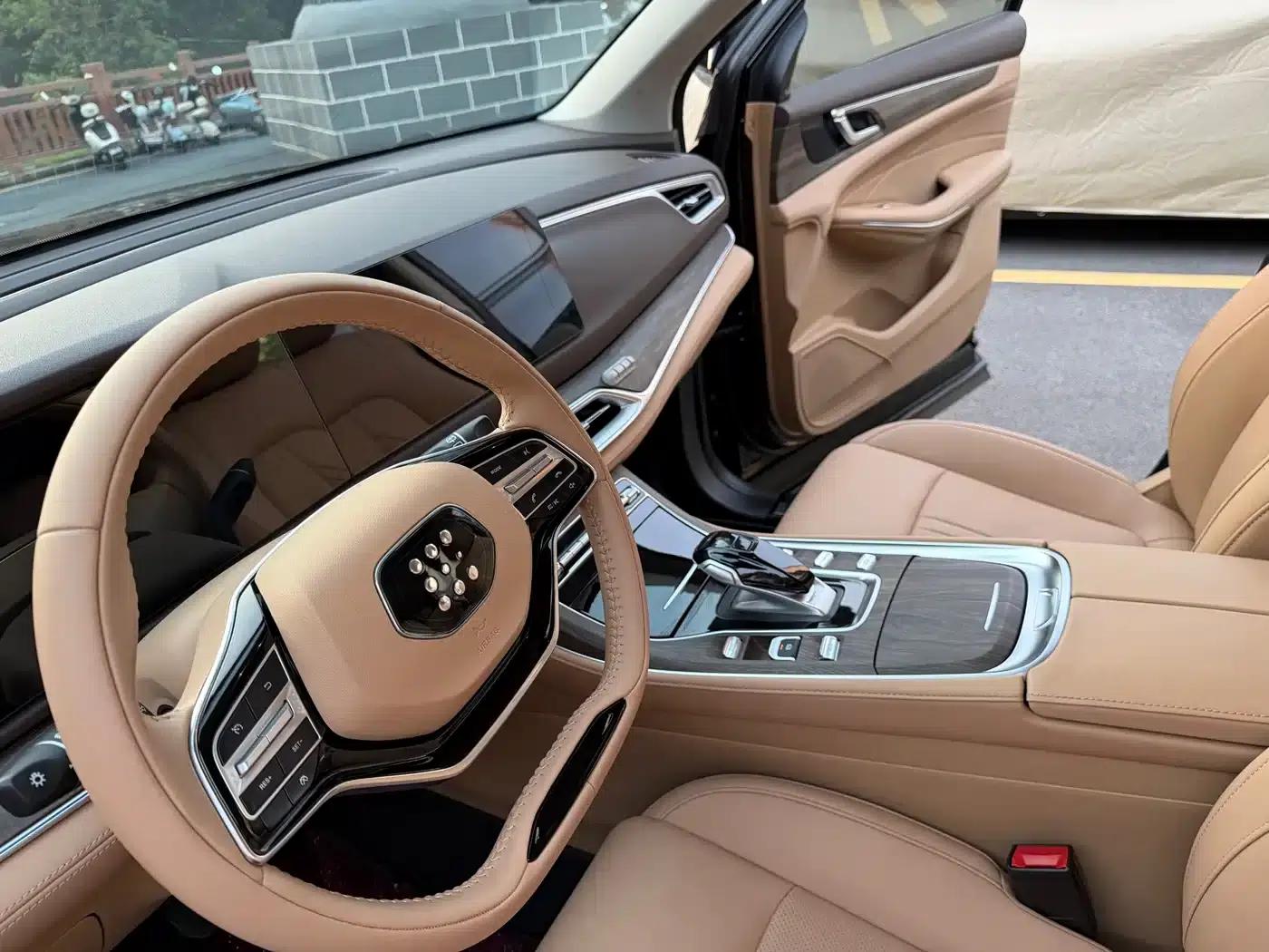 Blue Electric E5 2024 Glory Edition 100KM Premium 7-Seater — миниатюра 11
