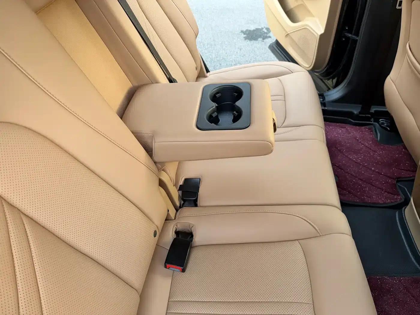 Blue Electric E5 2024 Glory Edition 100KM Premium 7-Seater — миниатюра 18