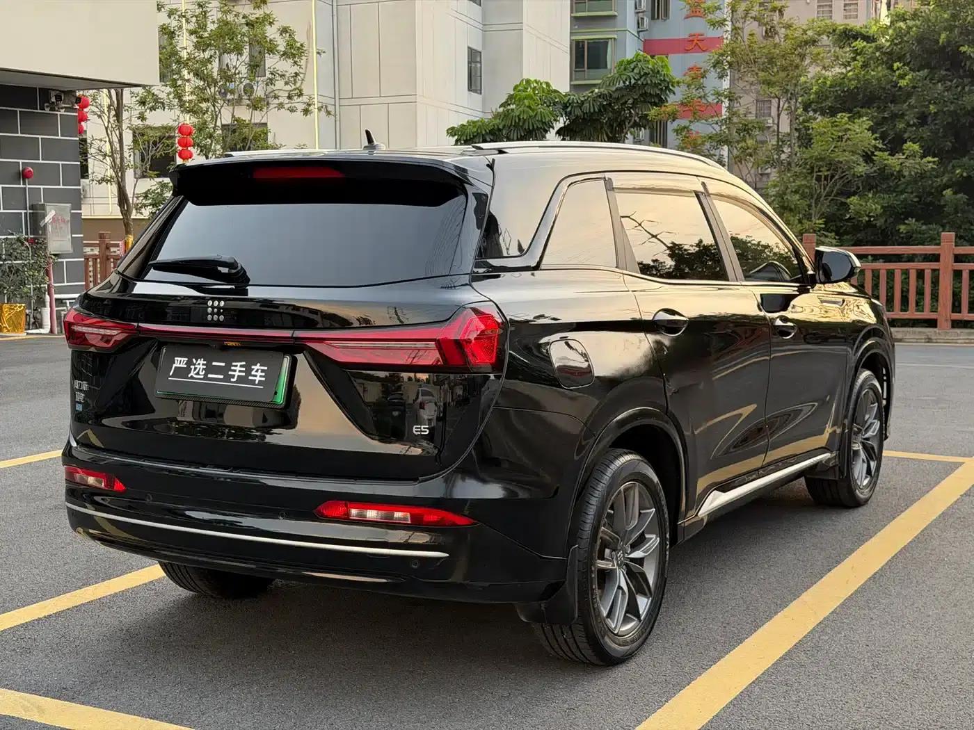 Blue Electric E5 2024 Glory Edition 100KM Premium 7-Seater — миниатюра 25