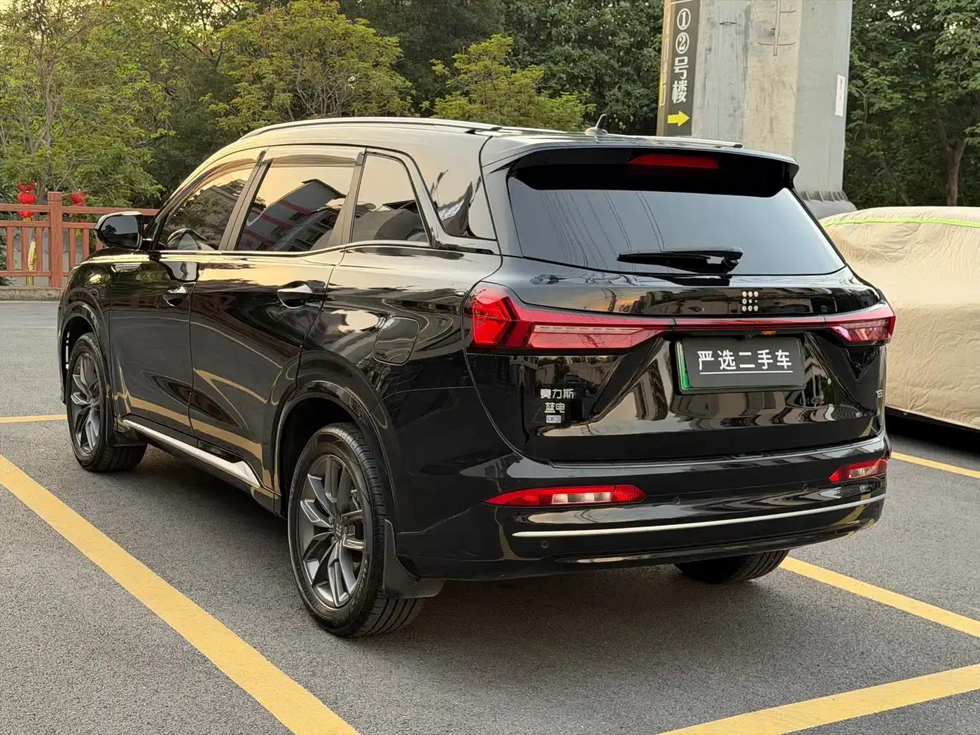 Blue Electric E5 2024 Glory Edition 100KM Premium 7-Seater — миниатюра 26