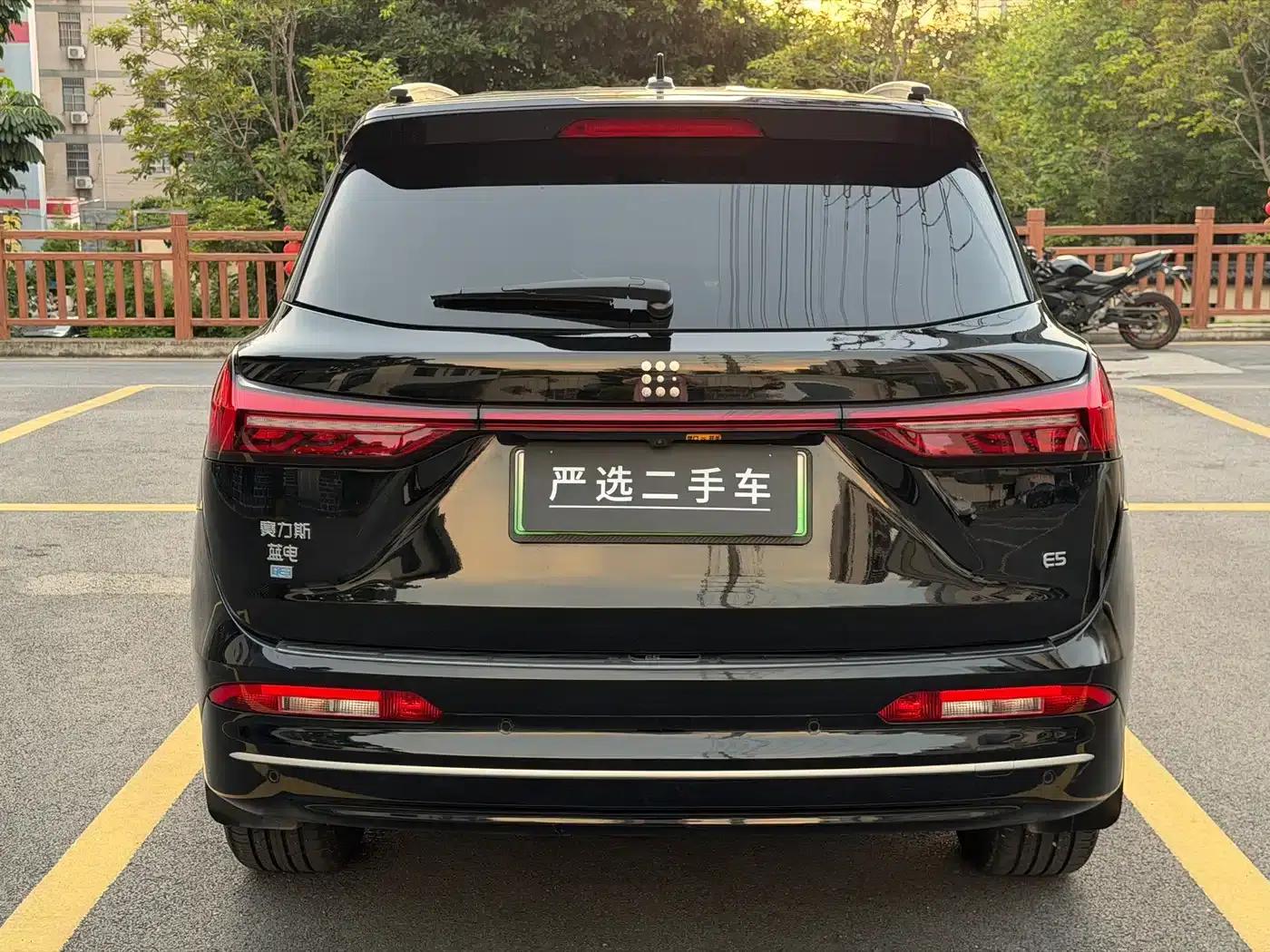 Blue Electric E5 2024 Glory Edition 100KM Premium 7-Seater — миниатюра 27