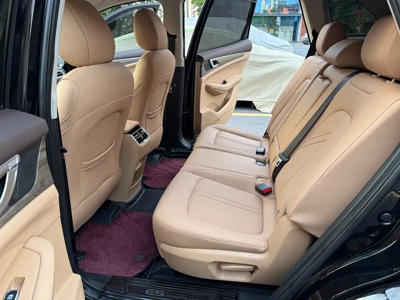 Blue Electric E5 2024 Glory Edition 100KM Premium 7-Seater — миниатюра 6