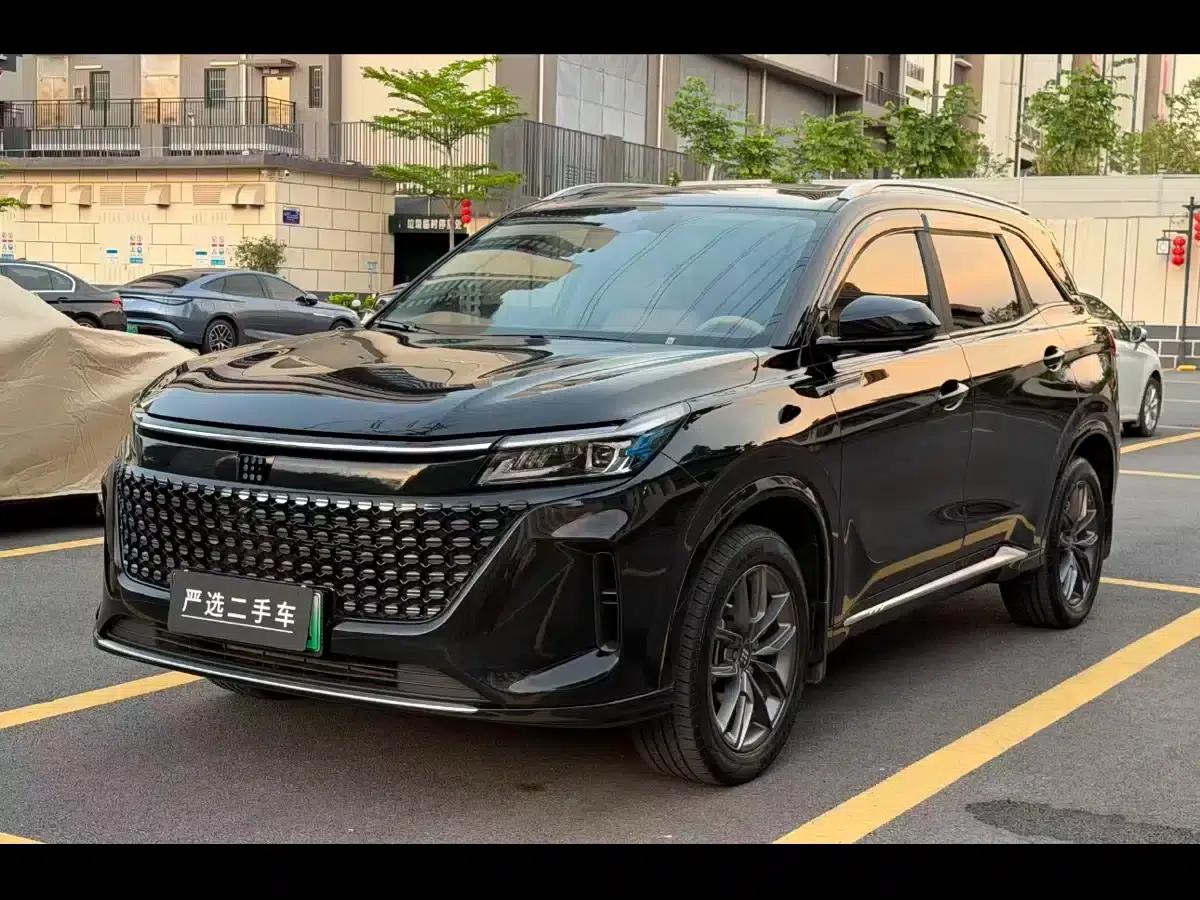 Blue Electric E5 2024 Glory Edition 100KM Premium 7-Seater — миниатюра 7