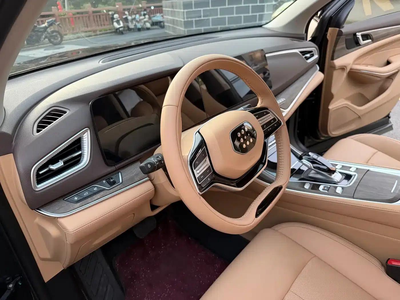 Blue Electric E5 2024 Glory Edition 100KM Premium 7-Seater — миниатюра 8