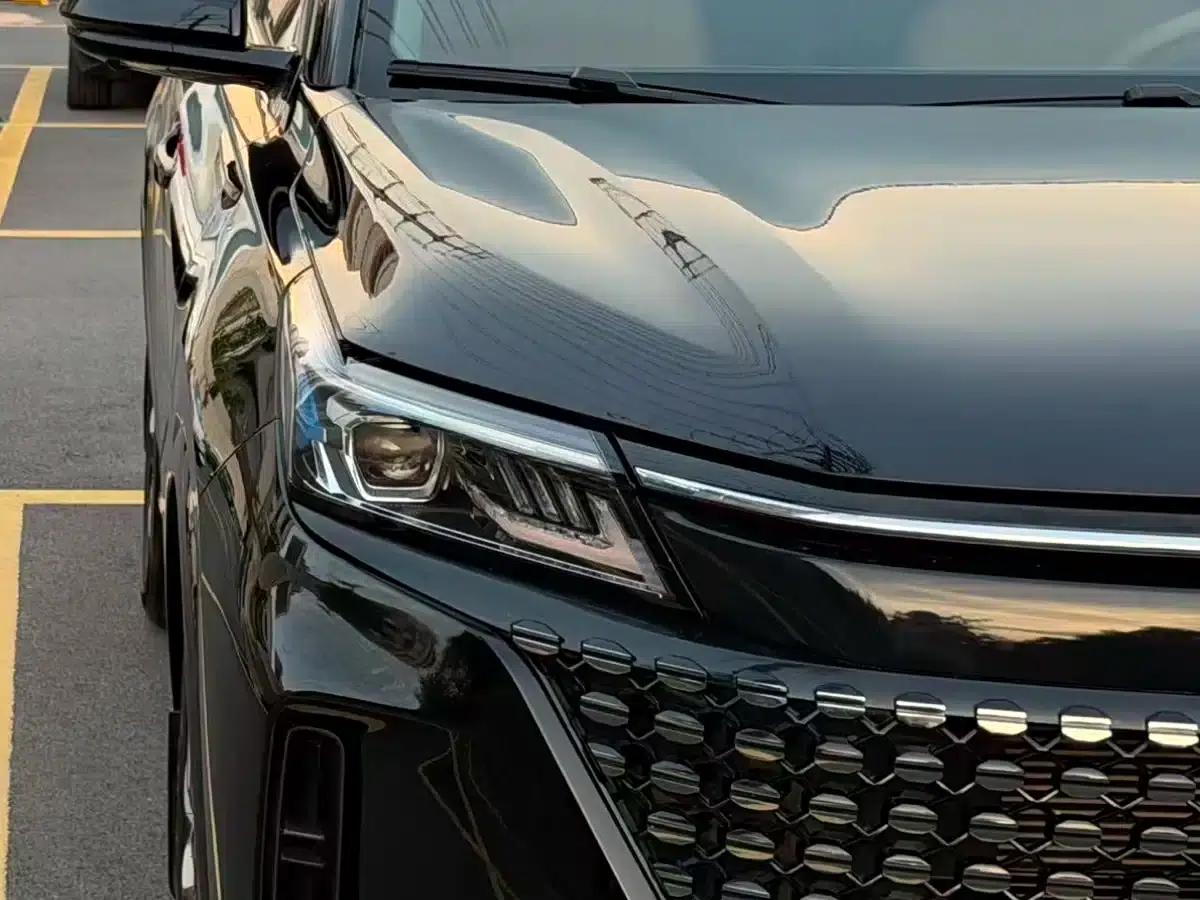 Blue Electric E5 2024 Glory Edition 100KM Premium 7-Seater — миниатюра 9