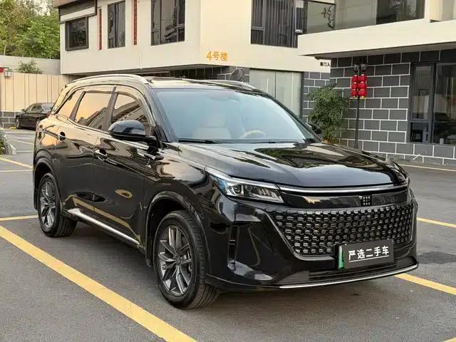 Blue Electric E5 2024 Glory Edition 100KM Premium 7-Seater