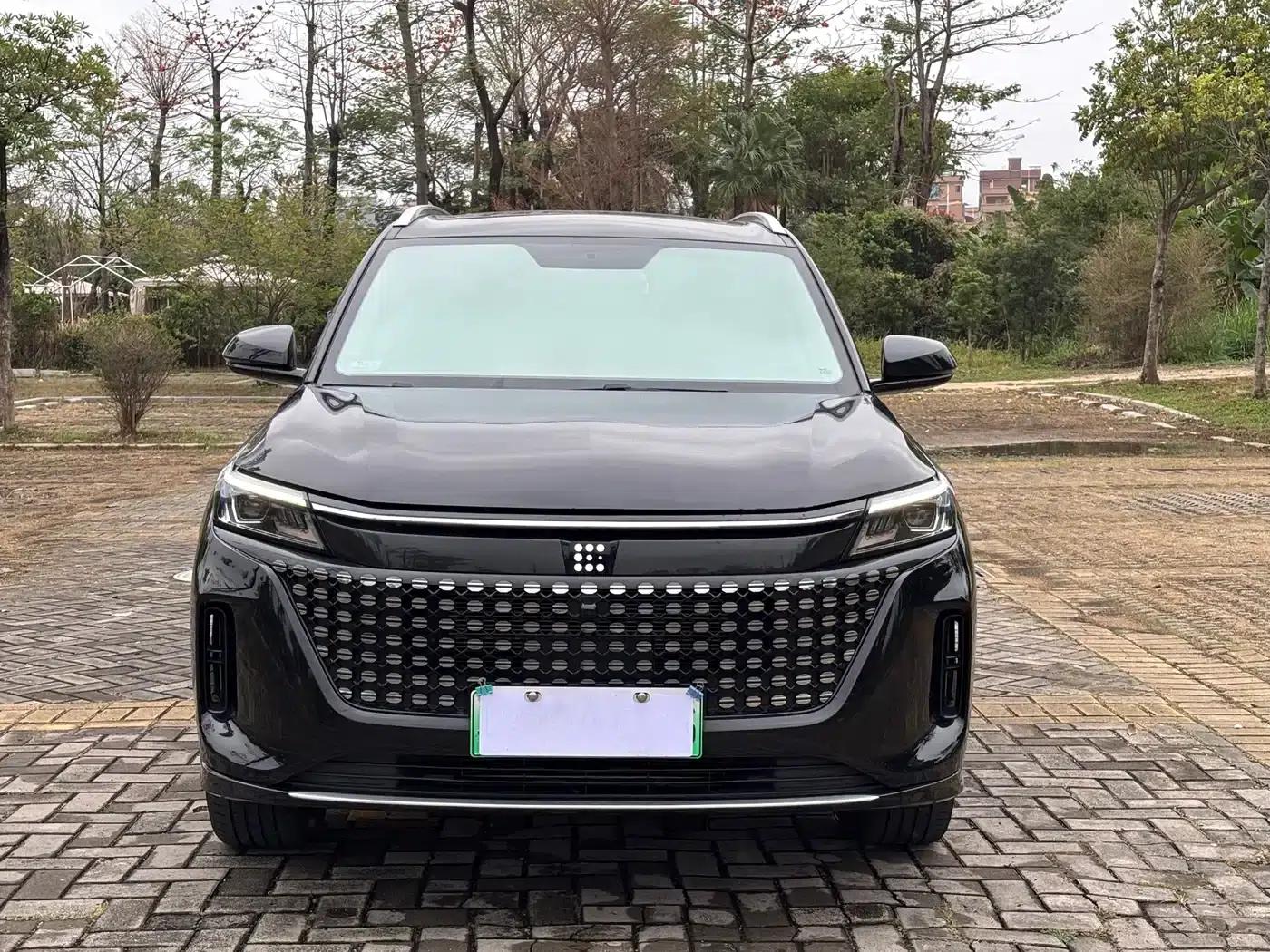 Blue Electric E5 2024 Glory Edition 100KM Enjoyment Model 7-Seater — миниатюра 2