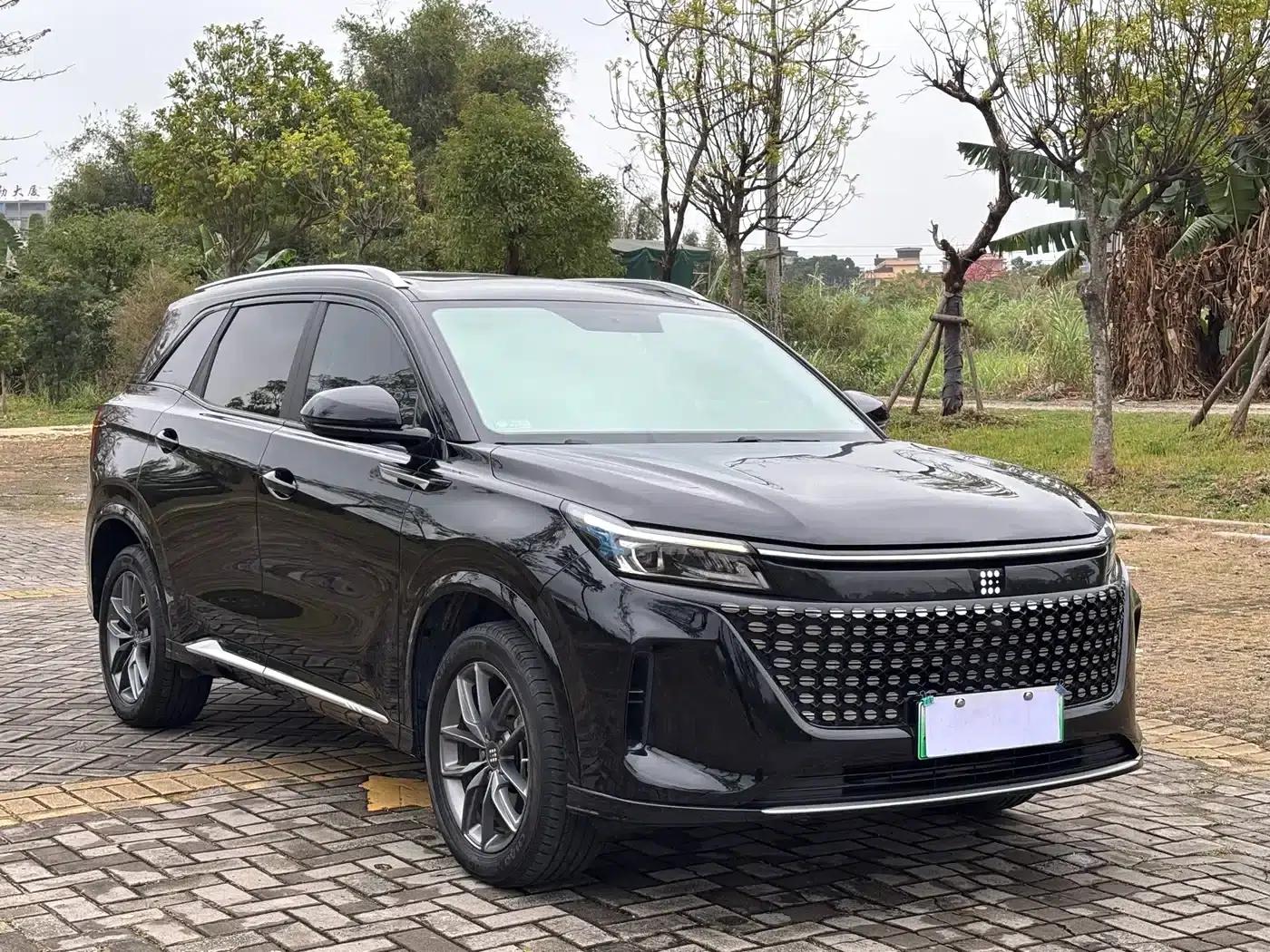 Blue Electric E5 2024 Glory Edition 100KM Enjoyment Model 7-Seater — миниатюра 3